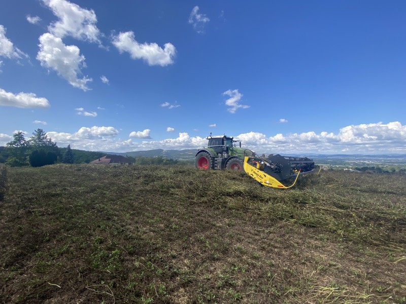 Prestation Fauchage-Andainage de lentilles bio & trèfles violets à Genay