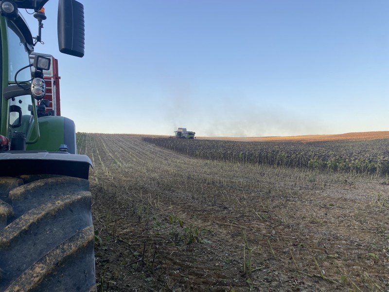 Réalisation travaux de récolte du tournesol près de Genay