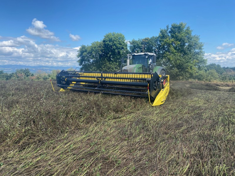 Prestation Fauchage-Andainage de lentilles bio & trèfles violets à Genay
