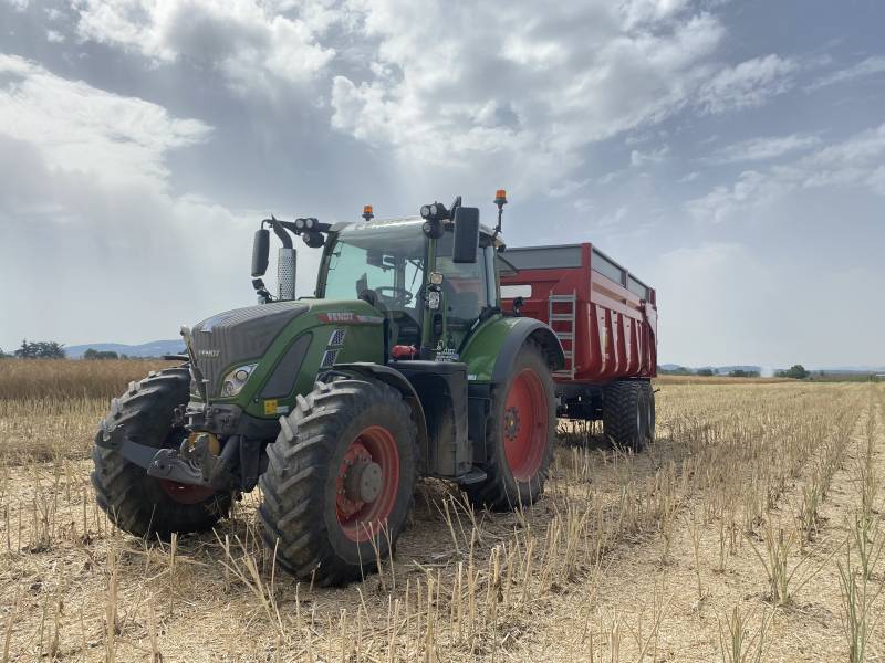 Moisson de maïs dans un champ avec transport de céréales près de Genay