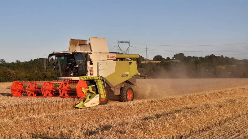 Moisson de maïs dans un champ avec transport de céréales près de Genay