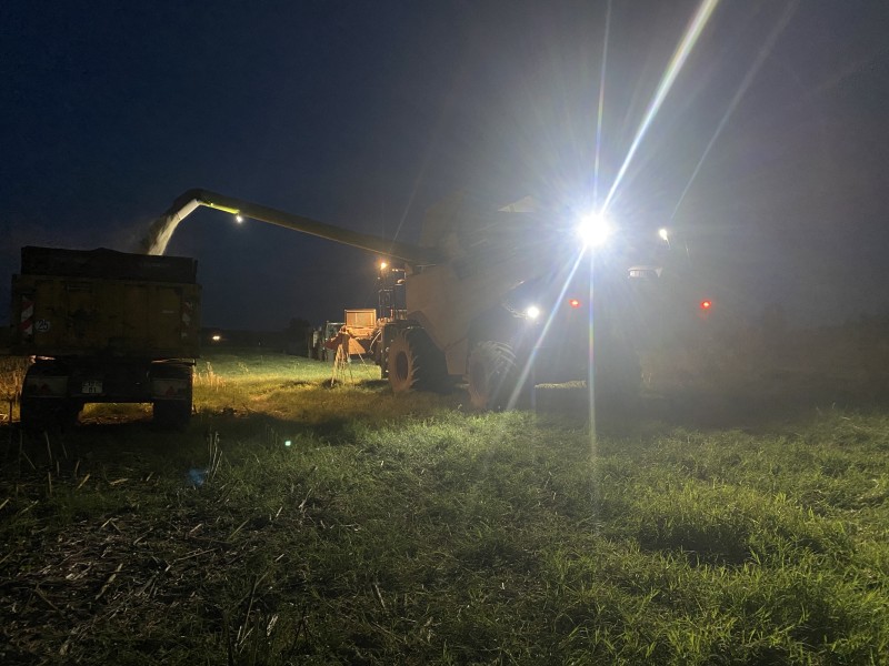 Réalisation travaux de récolte du tournesol près de Genay